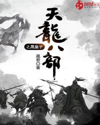 天龙八部之晟皇子封面