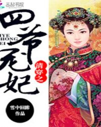 清穿之四爷宠妃封面