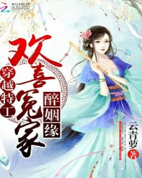 穿越特工:欢喜冤家醉姻缘封面