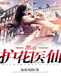都市护花医仙封面