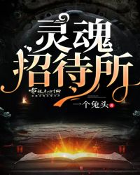 灵魂招待所封面