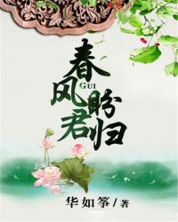 春风盼君归封面