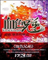 血色兄弟封面