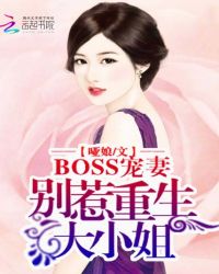 BOSS����:����������С��