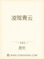 凌驾青云封面