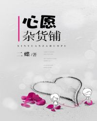 心愿杂货铺封面