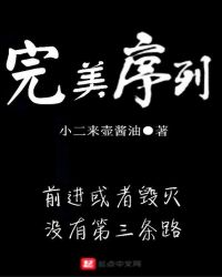 完美序列封面