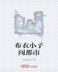 布衣神算封面