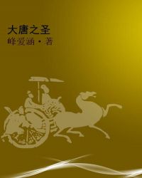 大唐之圣封面