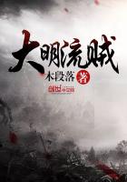 大明流贼封面