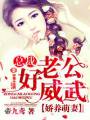 娇养萌妻,总裁老公好威武封面