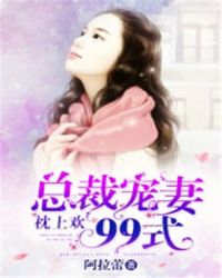枕上欢:总裁宠妻99式封面