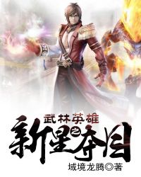 武林英雄之新星夺目封面